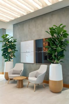 two white chairs sitting next to each other in front of a potted plant on the wall