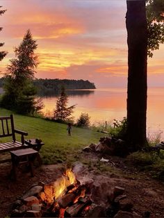 a fire pit sitting next to a forest filled with trees