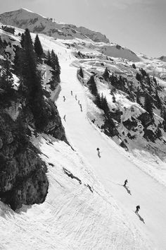 black and white photograph of skiers skiing down a mountain slope with trees on both sides