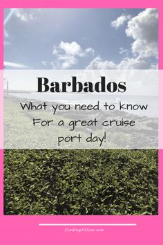 a pink and white photo with the text barbados what you need to know for a great cruise port - day