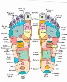 Reflexology Pressure Points, Reflexology Foot Chart, Body Massage Techniques, Basic Anatomy And Physiology, Map Artwork