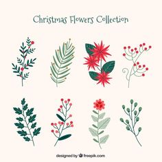 christmas flowers collection with leaves and berries in flat design free psd files available for use on all types of projects