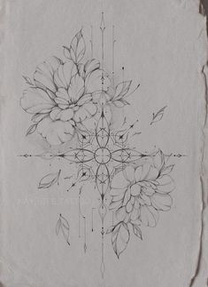 a drawing of flowers on paper with some lines in the middle and one line at the bottom