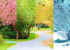 an image of a park with trees and flowers in the fall or winter time,