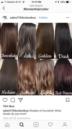 Brown Hairs, Medium Brown Hair Color, Blonde Hair Dye, Ash Brown Hair Color, Brown Hair Shades, Medium Hair Color, Hair Color Chocolate