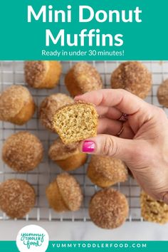 a person holding a muffin in their hand with the words, mini donut muffins ready in under 30 minutes