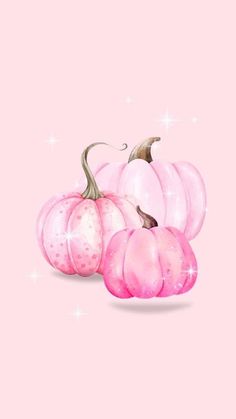 some pink pumpkins on a pink background