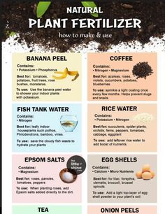 the natural plant fertiizer info sheet