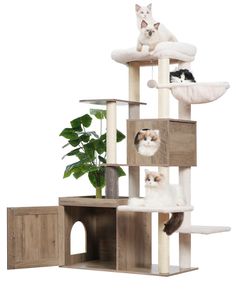 the cat tree is made from wood and has four cats sitting on top of it