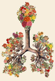 an illustration of the lungs with flowers on it