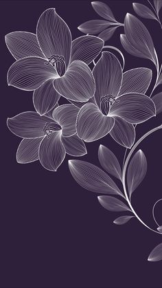 an image of flowers that are in the dark purple color scheme for wallpapers