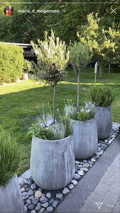 three cement planters sitting in the middle of a garden with rocks and plants around them