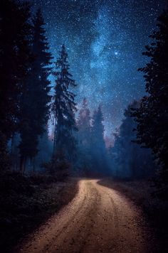 a dirt road in the middle of a forest with trees on both sides and stars above it