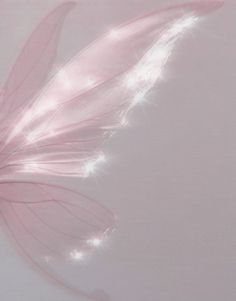 a close up of a pink flower on a white surface with light shining through the petals