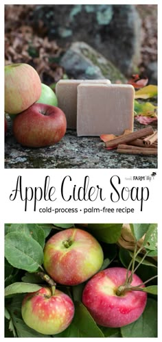 an apple cider soap bar next to apples and leaves on the ground with text overlay