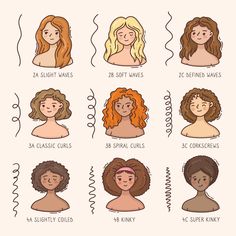 Hair Texture Chart, Slightly Curly Hair, Types Of Curly Hair, Hairstyle For Curly Hair, Curly Hair Drawing, Hair Illustration, Curly Hair Tutorial