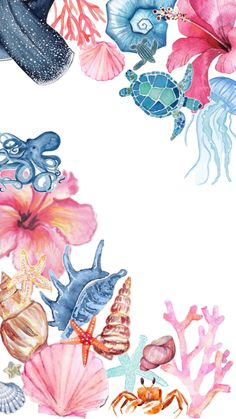 watercolor painting of seashells, starfish and other marine creatures on white paper