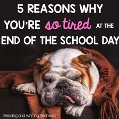 5 Reasons why you're so tired at the end of the school day by Reading and Writing Redhead: What can you add to this list? Exhausted Teacher Humor, Teacher Exhaustion, Overstimulated Teacher, Exhausted Teacher, Teaching Hacks, Teacher Tired, Teacher Burnout, Math Teacher Humor