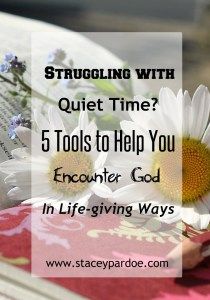 a book sitting on top of a table with daisies in it and the words struggling with quiet time? 5 tools to help you encounter god in life - giving ways