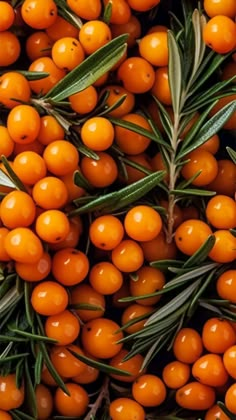 orange berries with green leaves are piled on top of each other