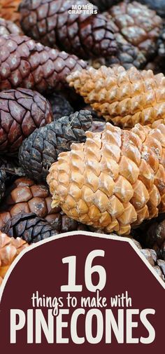 pinecones with the words 16 things to make with pine cones on top and bottom