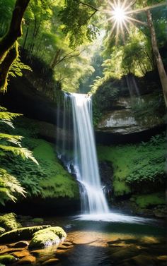 a waterfall in the middle of a forest with sun shining down on it's side