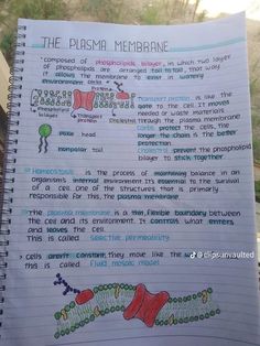 an open notebook with the words plasma membrane written in different colors and sizes on it