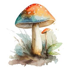 a painting of a mushroom with watercolor paint splatters on it's surface