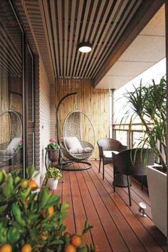 a balcony with chairs and potted plants on the wooden floor, next to an orange tree