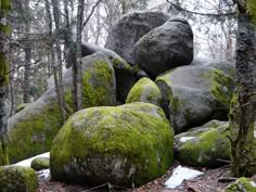 moss covered rocks in the woods with snow on them and some trees around their edges