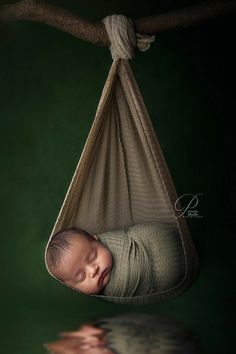 a baby sleeping in a hammock hanging from a tree branch with its reflection on the ground