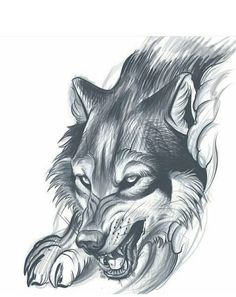 a drawing of a wolf's head with the words hardstudio on it