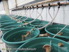 several large buckets filled with water and hoses connected to the top of them