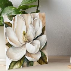 a white flower with green leaves on a table next to a potted plant art board print