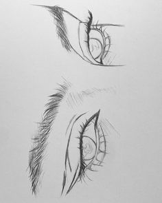 two different types of eyes are shown in this drawing