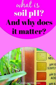 What is soil pH? And why does it matter? Soil Ph Test, Alkaline Soil, Acidic Soil, Compost Soil, Vegetable Garden For Beginners, Plants To Grow