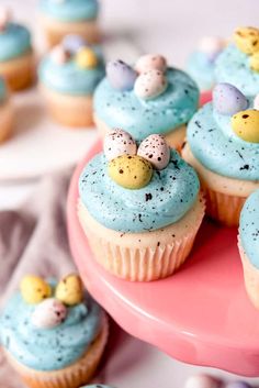 cupcakes with blue frosting and speckles are on a pink plate