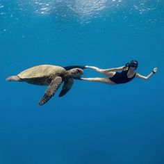 a woman swimming with a turtle in the ocean