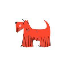 an orange dog with fringes on it's tail is standing in front of a white background