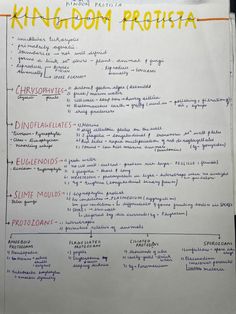 a piece of paper that has been written in different languages on it, with the words kingdom protista