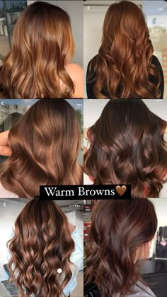 Chesnutt Hair Color, Warm Cinnamon Hair Color, Cinnamon Hair Color Brown, Autumn Season Hair Color, Haircolor Ideas For 2024, Fall Haircolors 2023, Light Brown Hair Red Undertone, Red Toner For Brown Hair, Different Types Of Brown Hair Shades