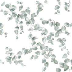 watercolor painting of leaves on white background