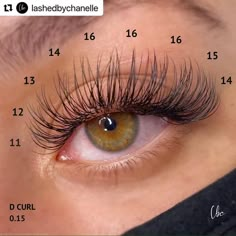 Eyelash Tips, Eyelash Technician