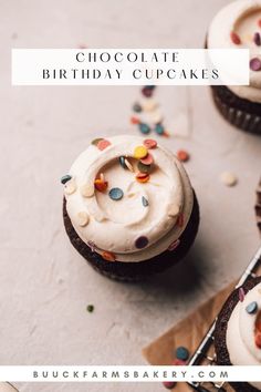 chocolate birthday cupcakes with white frosting and sprinkles