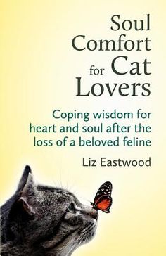 a book cover with a cat and a butterfly on it's nose, which reads soul comfort for cat lovers coping wisdom for heart and soul after the loss of a beloved feline