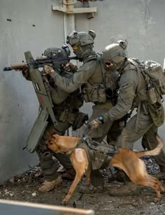 some soldiers and a dog are playing with each other