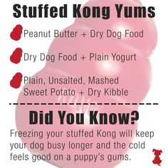 a poster with instructions on how to use stuffed kong yums for dogs and cats