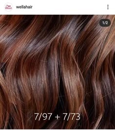 Brunette Formulas, Color Formulations, Red Orange Hair, Chestnut Brown Hair, Golden Brown Hair