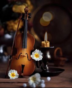 a violin sitting on top of a wooden table next to a candle and some flowers