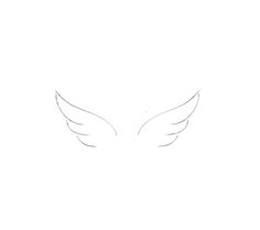 the outline of an angel's wings is shown in this drawing, it appears to be white